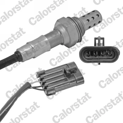 Oxygen Sensor